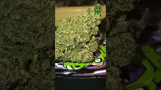 Mamedica - High Society - T24 - medical flower - check the comments #mamedica  #cannabiseducation