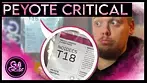 Noidecs Peyote Critical - Medical Cannabis  Review