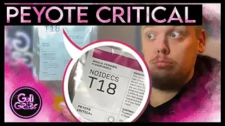 Noidecs Peyote Critical - Medical Cannabis  Review