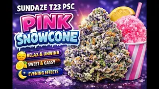 UK MEDICAL FLOWER | PINK SNOWCONE | SUNDAZE | T23 #420community #420 #uk #ukmedicalcannabis #cbpm