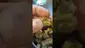 Video Thumbnail: CannaChris