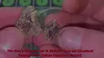 Cookies, Gary Payton by Grow - Strain Review #01