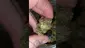Video Thumbnail: WestPacks420