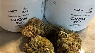GROW Hellfire 22 THC - U.K. medical cannabis flower.
