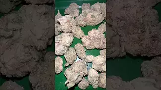 Big narstie medical mule fuel  #uk #medical #patient #youtubeshorts #flowers
