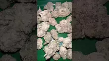 Bajan Video Thumbnail
