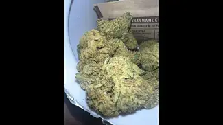 Peace Naturals Atomic Sour Grapefruit #medicalcannabis #cannabisreviews #peacenaturals #alternaleaf