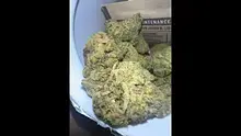 Adz Canna Video Thumbnail