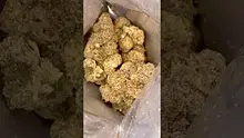Legal Lettuce Video Thumbnail