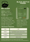 Black Kettle Farms