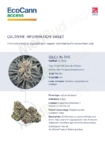 EcoCann