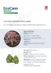 EcoCann