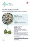Glass Pharms®