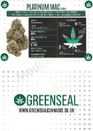 GreenSeal Cannabis
