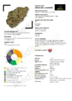 Soma OG