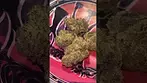 Qwest ~ Grape Cream Cake  Review in description 