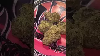 Qwest ~ Grape Cream Cake  Review in description 