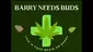 Video Thumbnail: Barry Needs Buds
