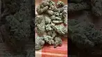 Uklegal #Medicus Apple Fritter 26%thc1%cbd #medicalcannabis #ukmeds #mentalhealthawareness