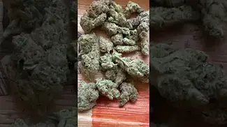 Uklegal #Medicus Apple Fritter 26%thc1%cbd #medicalcannabis #ukmeds #mentalhealthawareness