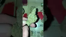 Medical Cannabis Patient Reviews UK Video Thumbnail