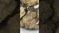 Video Thumbnail: UK Medical