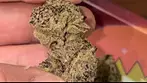 Blue Lobster medical by Vasco Cipher, £10 a gram is it worth it? Final thoughts 27%