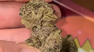 Blue Lobster medical by Vasco Cipher, £10 a gram is it worth it? Final thoughts 27%