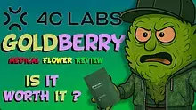 CheeseMon4 Video Thumbnail