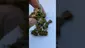 Video Thumbnail: My Medical 420