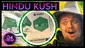 Video Thumbnail: God in the Grass