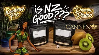Rainbow Pie vs Dream Diablo  Cannfx NZ Strain Showdown | Is NZ Good??