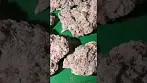 Superseed gelatti pie uk medical  #uk #medical #patient #flowers #youtubeshorts