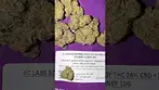 4c labs  banana daddy #medicalcannabis