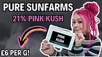 *PINK KUSH* 21 1st Look At Pure SunFarms £6 Per G |