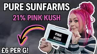 *PINK KUSH* 21 1st Look At Pure SunFarms £6 Per G |