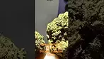 HSAL30 CLOSE UP - Its been 2 weeks using this and I've enjoyed it personally. Not a Ko.