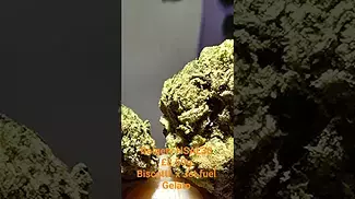 HSAL30 CLOSE UP - Its been 2 weeks using this and I've enjoyed it personally. Not a Ko.