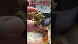 Pave #34 T26 NUGS 2 | UK Medical Cannabis Strain #ukmedicalcannabis #cannabiseducation #ukmedical
