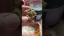 Master S BTB Video Thumbnail
