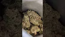 PrescribedBouquet Video Thumbnail