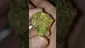 Video Thumbnail: Mayor Green