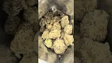 High Jack Video Thumbnail