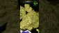 Video Thumbnail: VIP THC