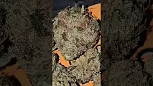 AzztecMedia Video Thumbnail