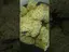 Video Thumbnail: VIP THC