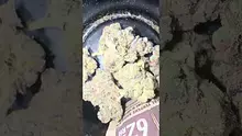 Big Smokey Medical UK Video Thumbnail