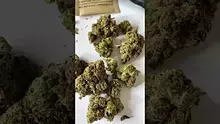 LoudConnoisseur Video Thumbnail