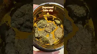 Superseed Cake City