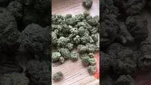  Sirspliffalot87 Video Thumbnail